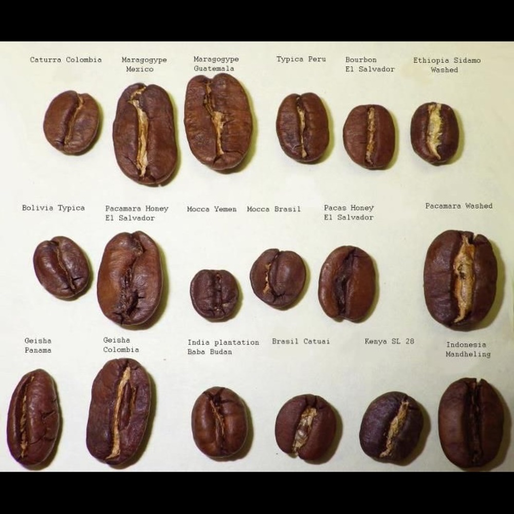 Meet your Posher, Travis